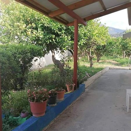 Angela'S Place - Stomio Residence Near The Sea Stomion  Bagian luar foto